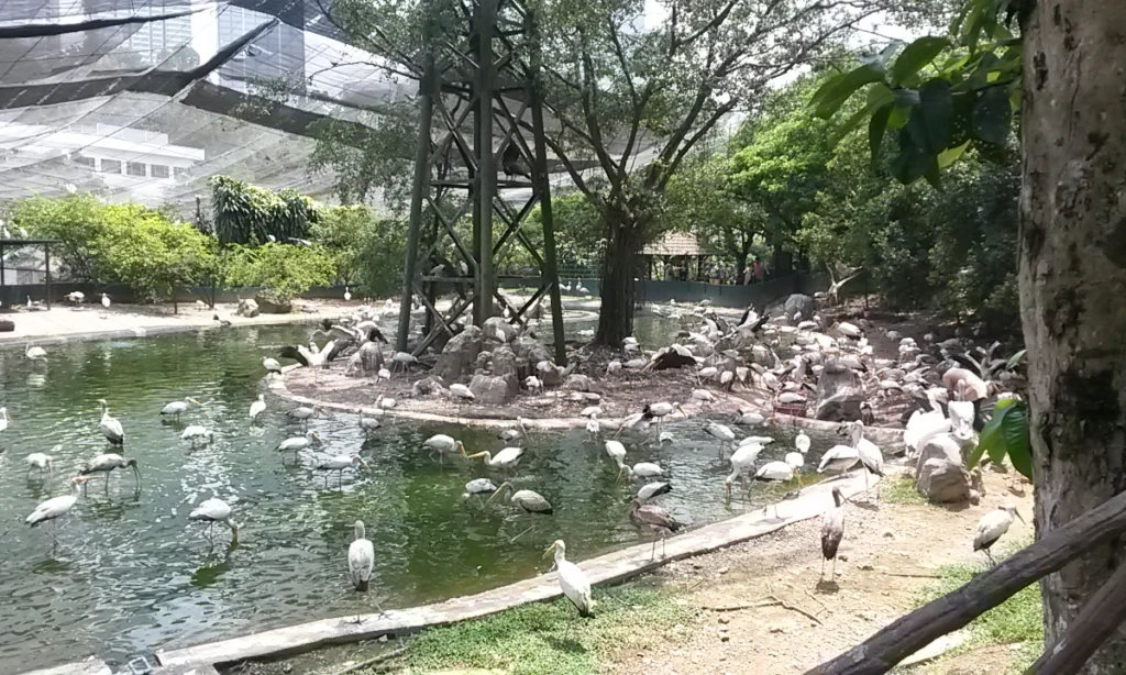 Kuala Lumpur tourist attractions, Kuala Lumpur Bird Park